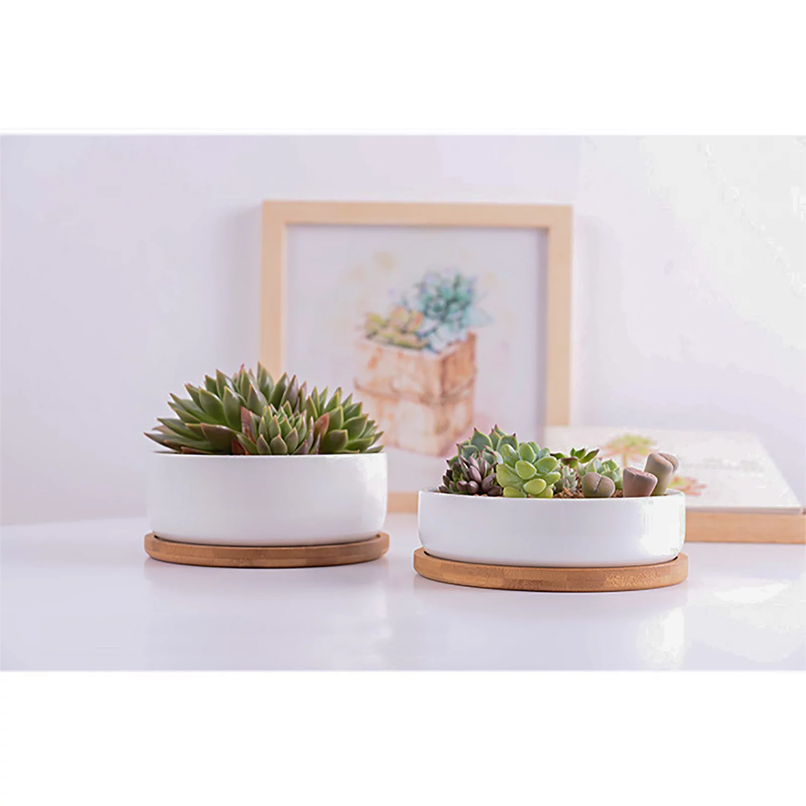 BELUPAI Environmentally Friendly Round Succulent Ceramic Flower Pot Bamboo Tray Creative Tabletop Tea Set Coaster