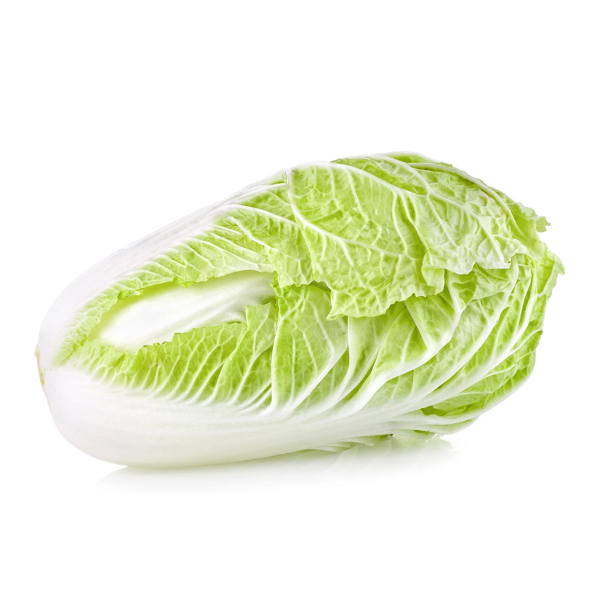 Chinese Cabbage Seeds - Aichi - 2 g Packet ~648 Seeds - Non-GMO, Heirloom - Asian Garden Vegetable