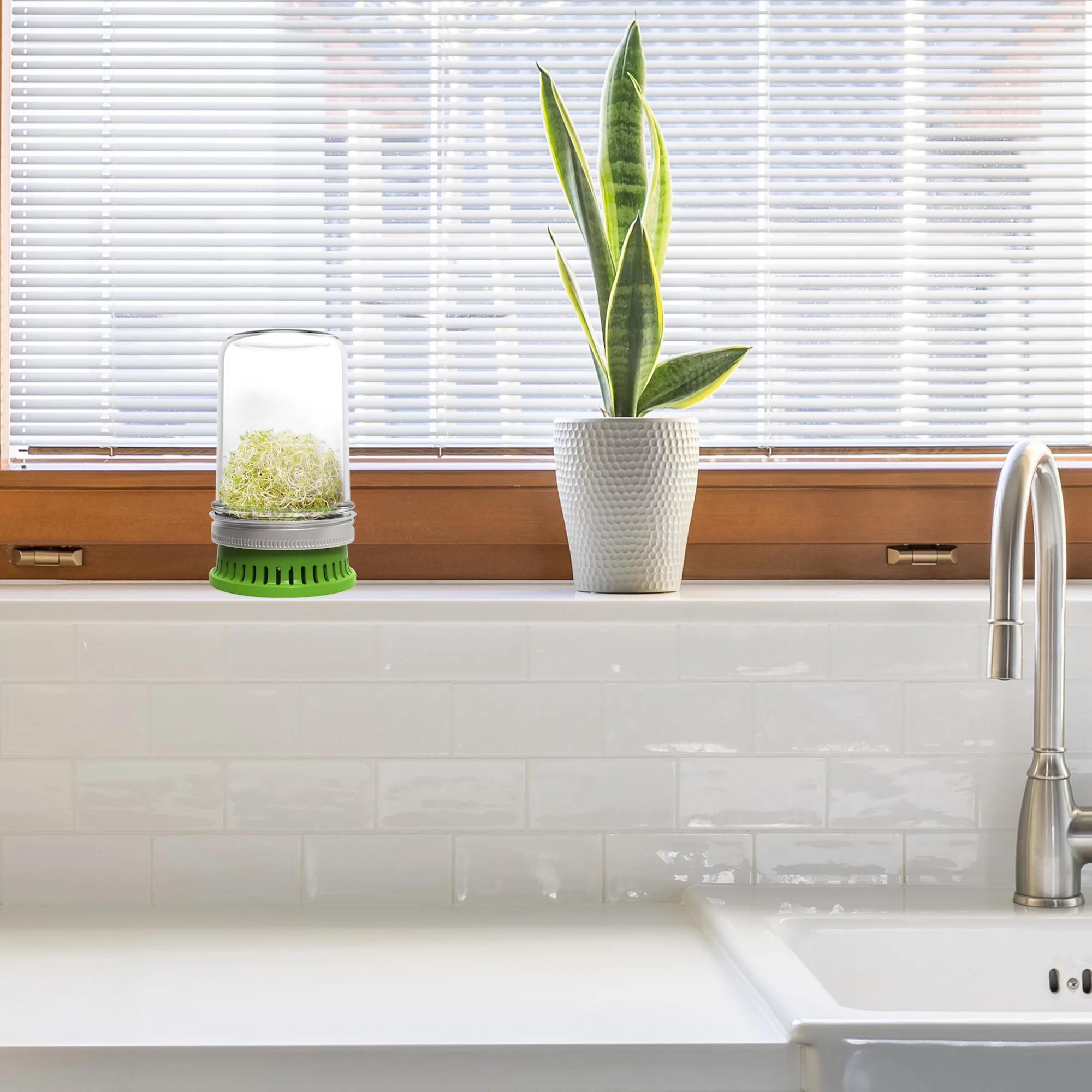 Jarware Seed Sprouter Set of 2