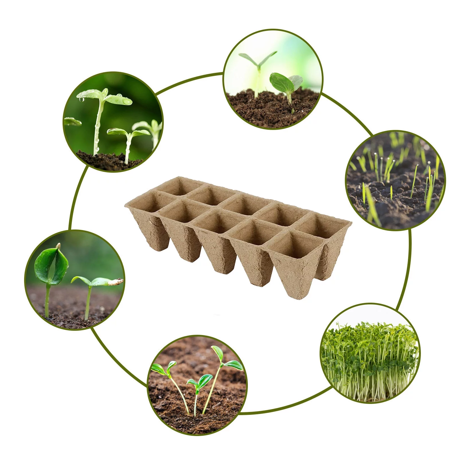 Peat Pots Seed Trays Seedling Pots Germination Trays 10 Cells