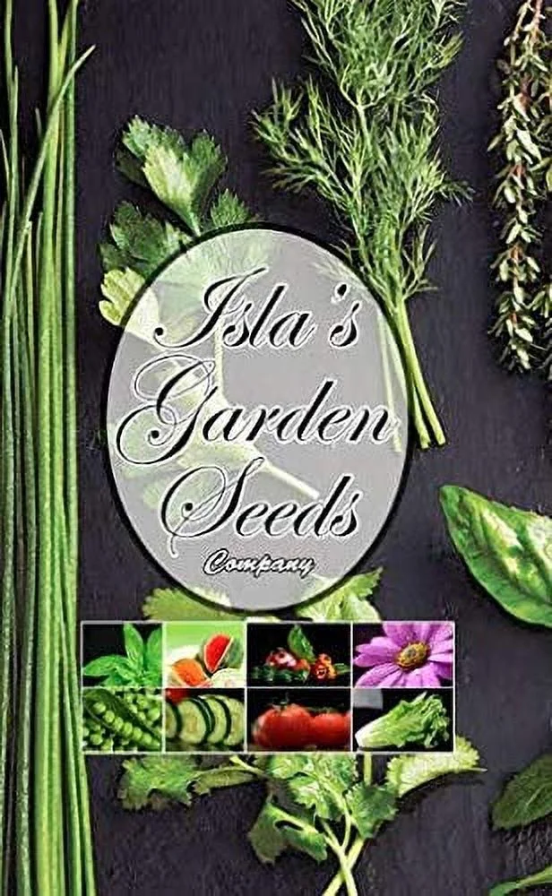 Caraway Herb Seeds, 100 Heirloom Seeds Per Packet, Non GMO Seeds