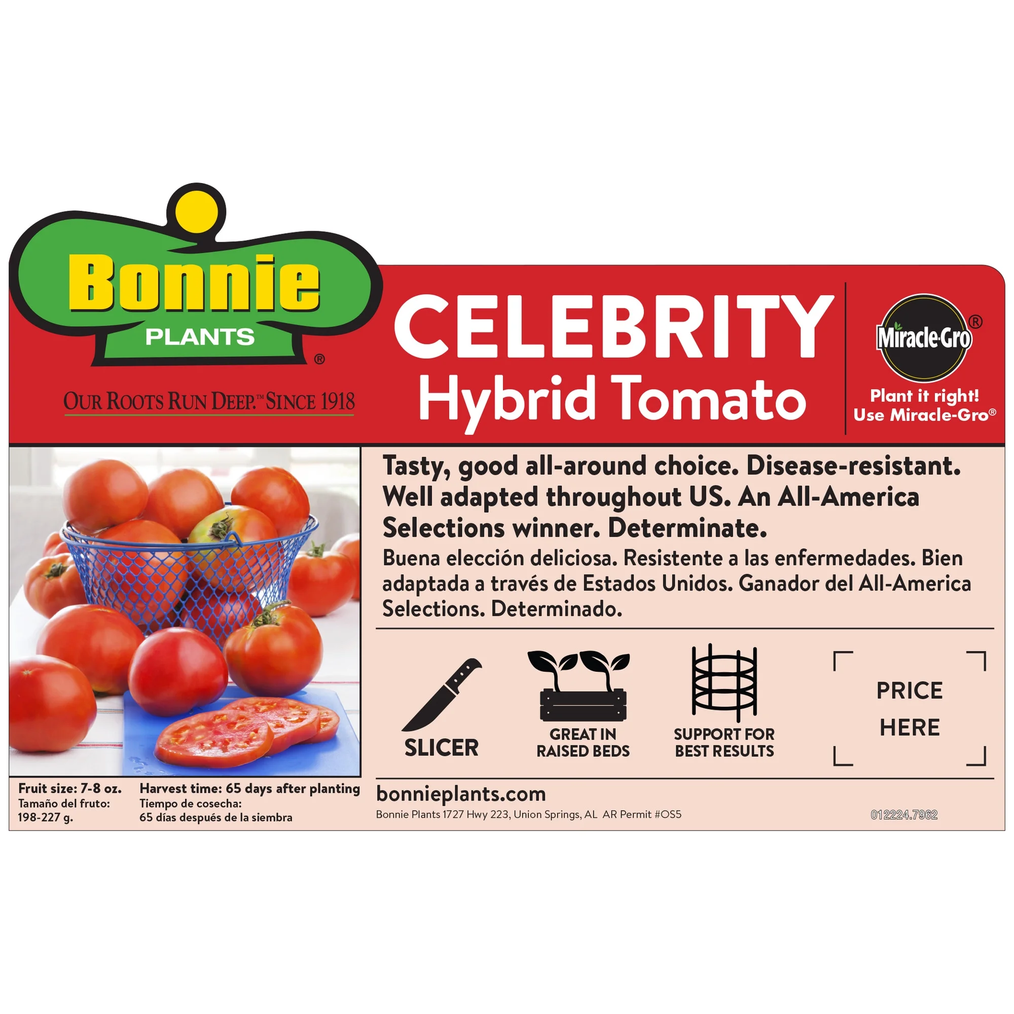 Bonnie Plants Celebrity Tomato 2.32 qt.