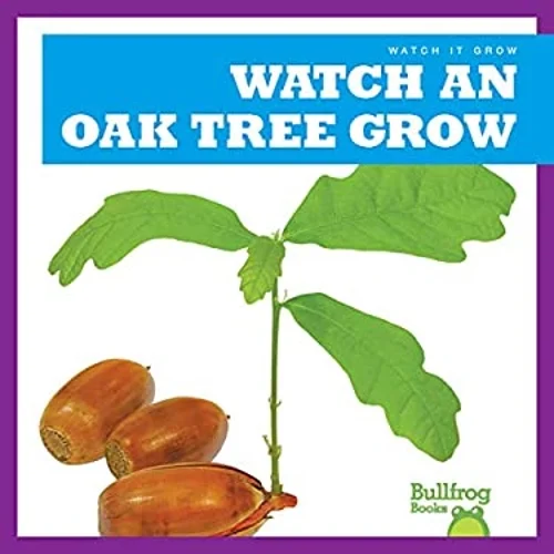 Pre-Owned Watch an Oak Tree Grow (Paperback) 9781641282710