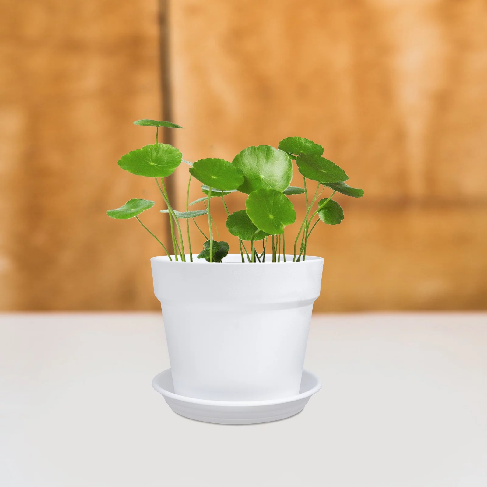 Ceramic Lookwith Tray Decorate Green Dill Pots for Plants Flower Indoor Garden Mini PP 2 Sets