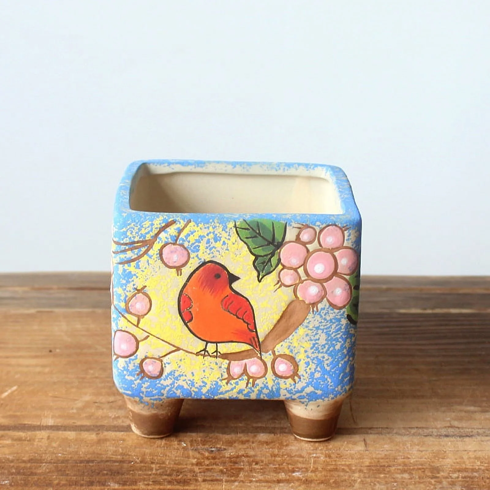 Hand-Painted Ceramic Succulent Planter - Rustic Style Desktop Plant Pot