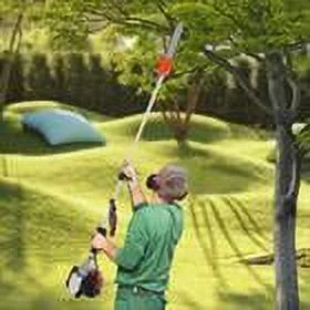 DENEST Chainsaw Pole Saw Tree Trimmer Branch Cutter 42CC 4 Stroke Gas Powered Engine