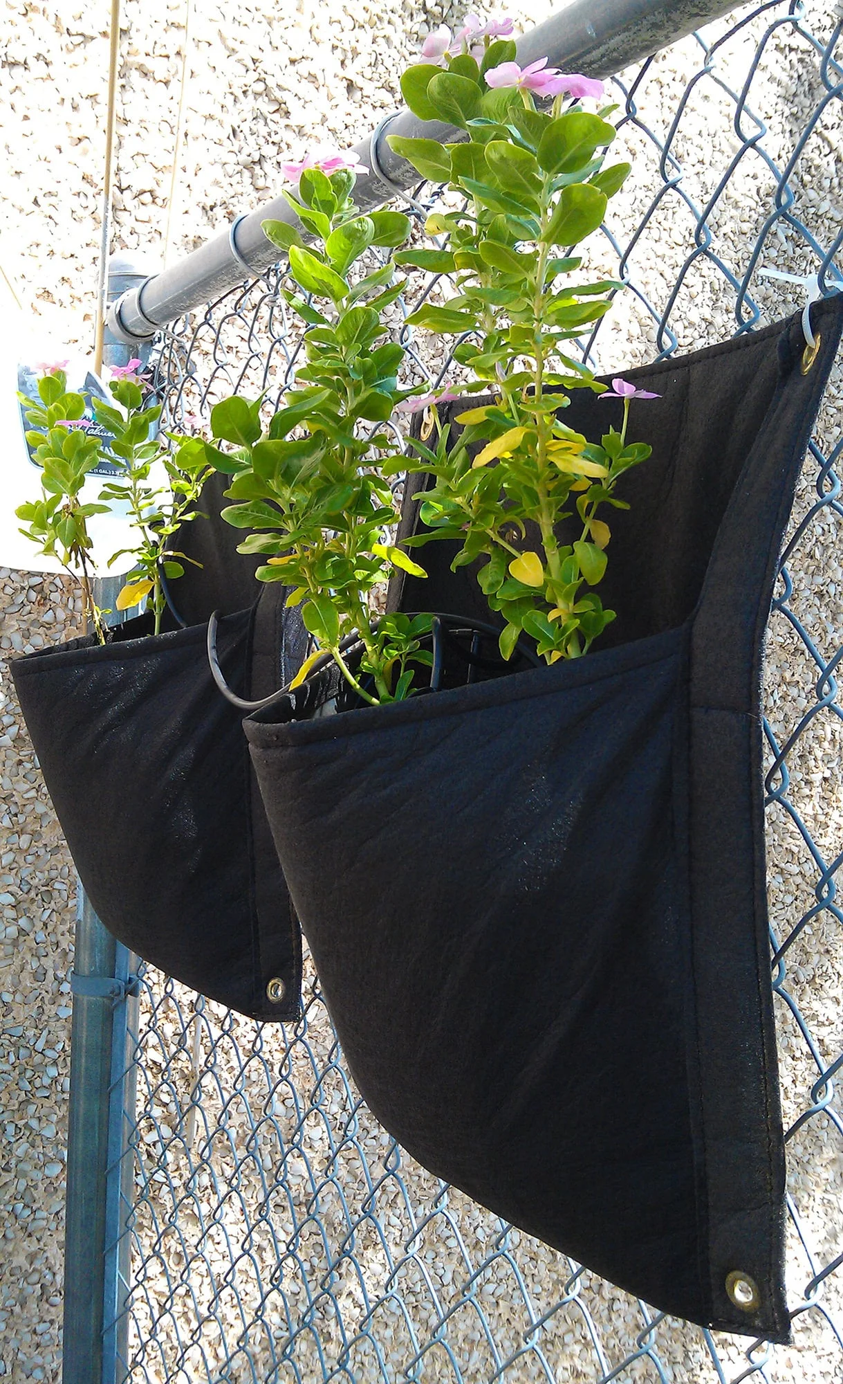 SMART POT Wall Flower