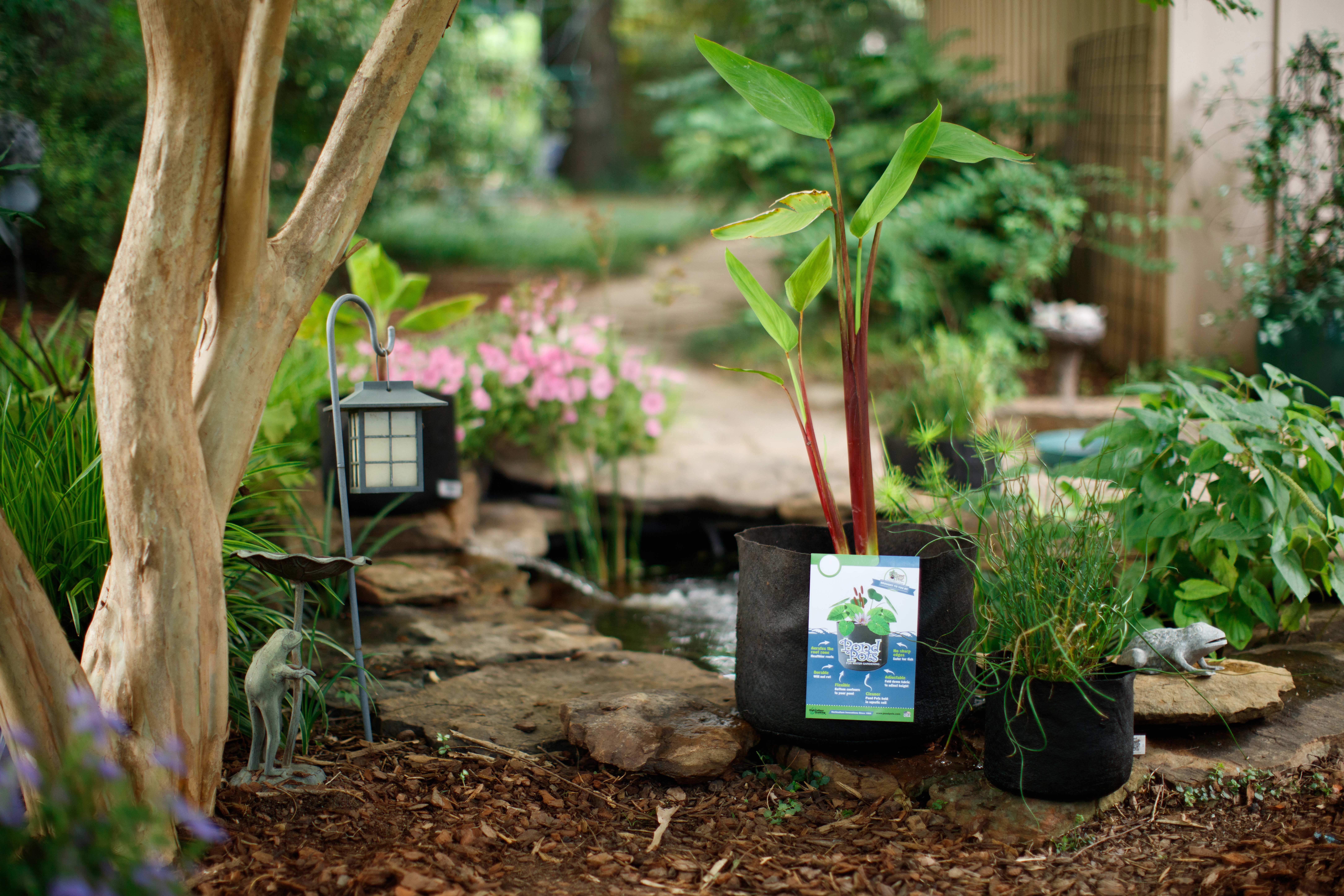 SMART POT 15 Gallon Fabric Grow Bag Pond Pot
