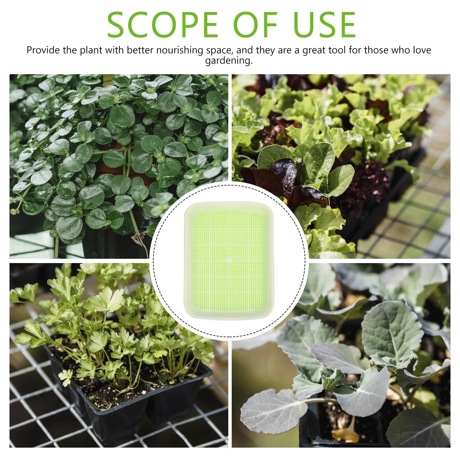 3Pcs Premium Nursery Tray Hydroponic Germinating Tray Garden Plastic Nursery Tray