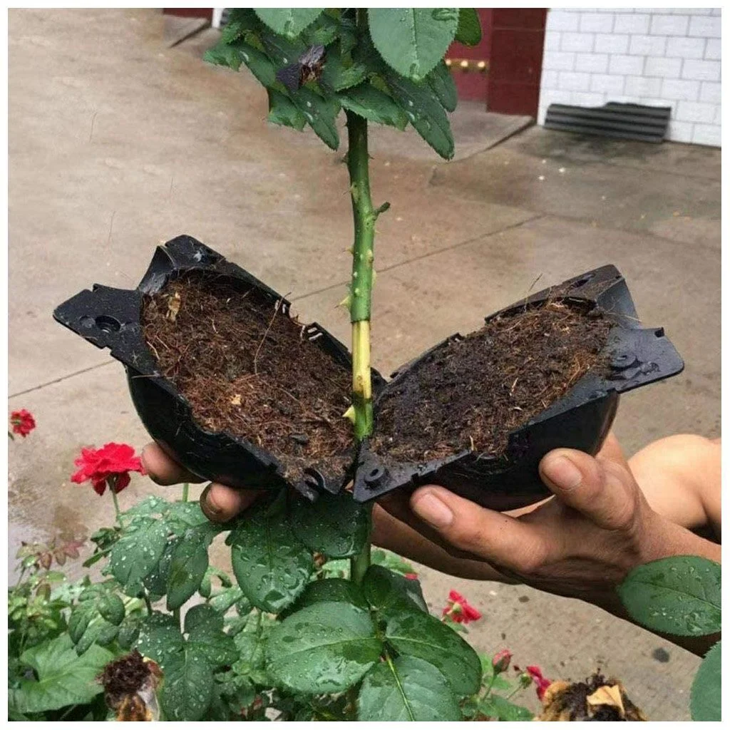 1/3/5/10pcs Plant Rooting Device High Pressure Propagation Ball Graft Box Grow