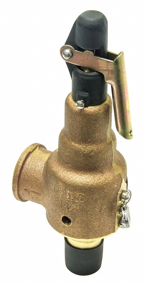 Kunkle Valve Safety Relief Valve,1-1/4in.x1-1/2in. 6010GFM01-AM-125