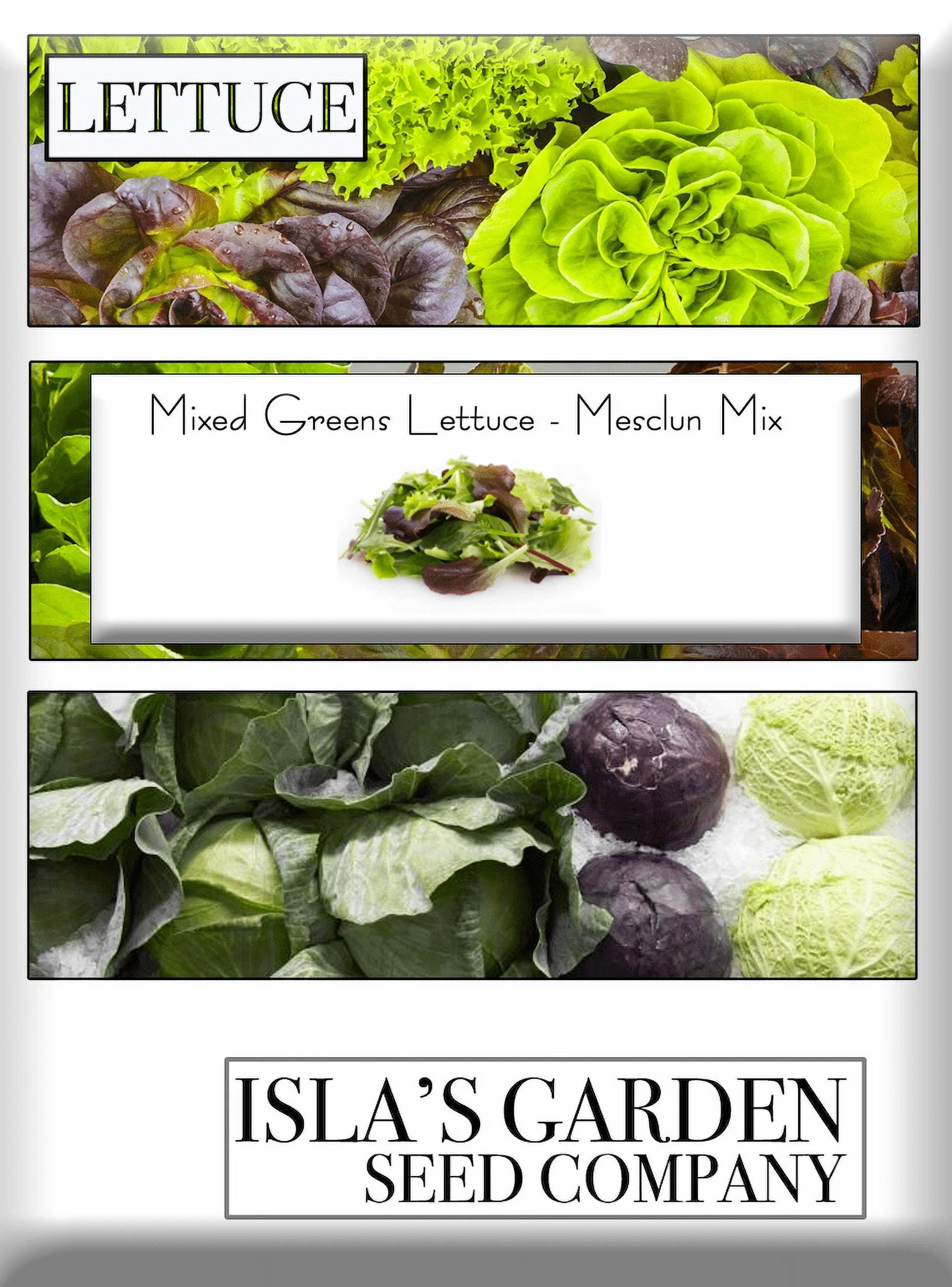 Mixed Greens Lettuce Seed Variety Mix, (Mesclun Mix), 500 Heirloom Seeds Per Packet, Non GMO Seeds