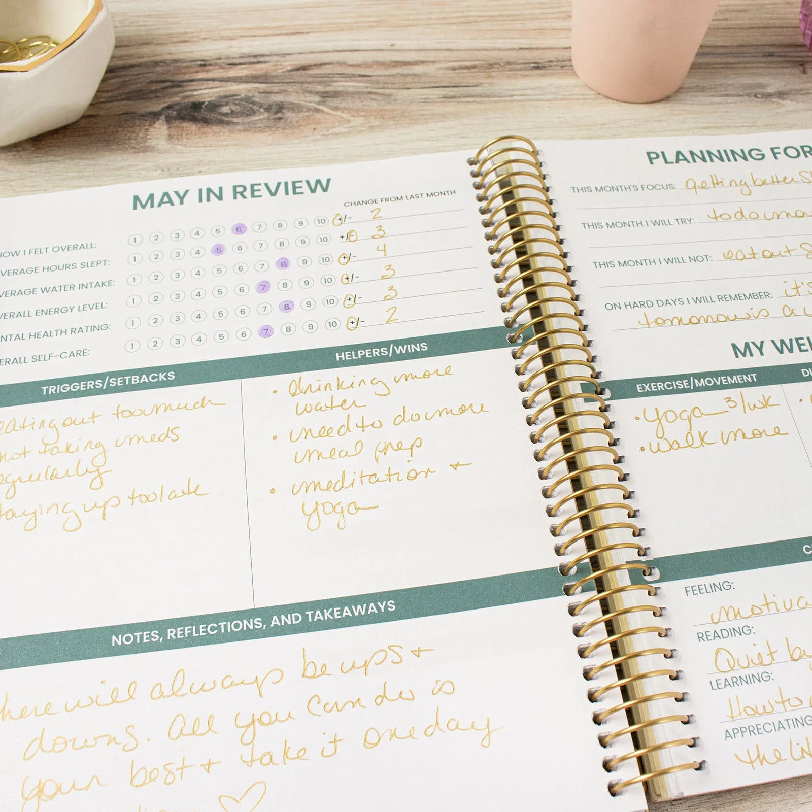 bloom daily planners Chronic Illness Planner, You Are Stronger Than You Think