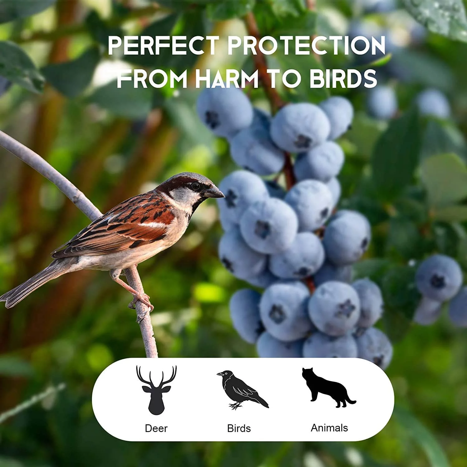 NAMZI Anti Bird Protection Net,Garden Plant Netting,Bird Netting Heavy Duty Nylon Suit for Seedlings,Vegetables.Fruit,Bushes with Reusable Cable and U-Shaped Garden Pegs