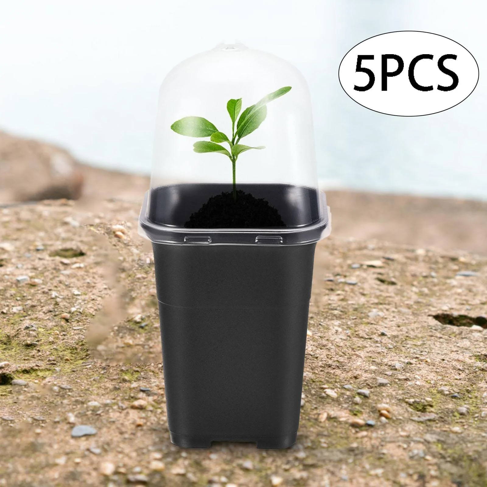 SunniMix 5Pcs Flower Pot Garden Plant Pots Mini Landscaping Plants Plant Nursery Pots Black