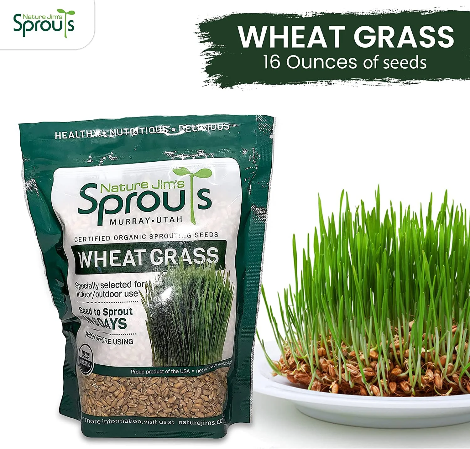 Nature Jims Sprouts Wheatgrass Seeds - 100% Organic Wheat Grass Seed for Sprouting - Cat Grass Planter Seeds, Rich in Vitamins, Fiber and Minerals - Non-GMO, Healthy Wheatgrass Sprout Growing Seed