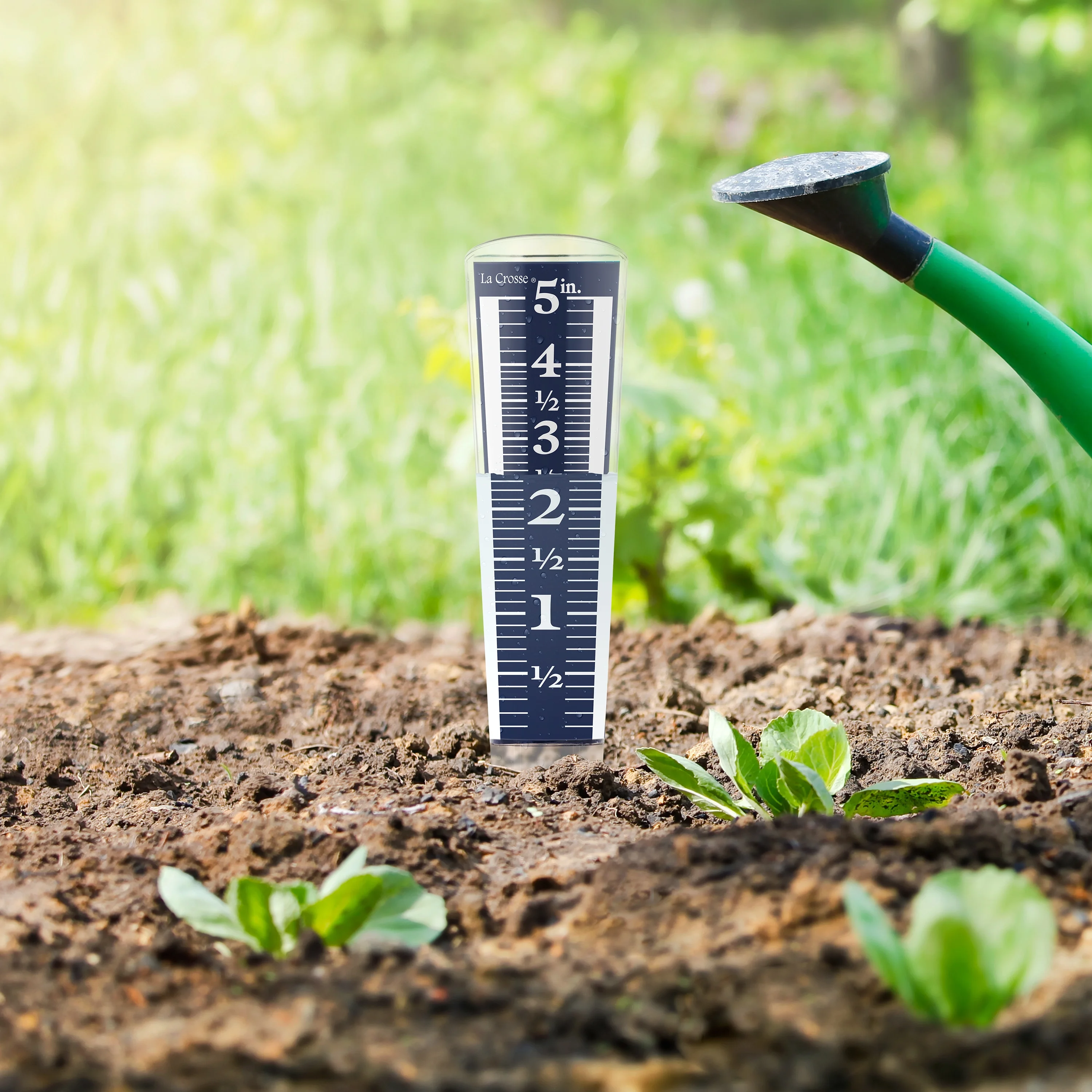 La Crosse 704-1531 Large Easy Read Magnifying Acrylic Rain Gauge