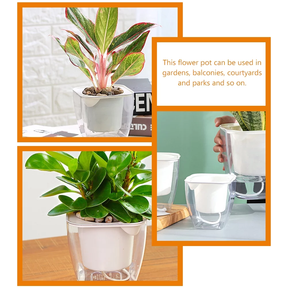Self-absorbing Transparent Potted Flowerpot Combination Orchids Pots Indoor Plant for Plants Nursery Planting Container