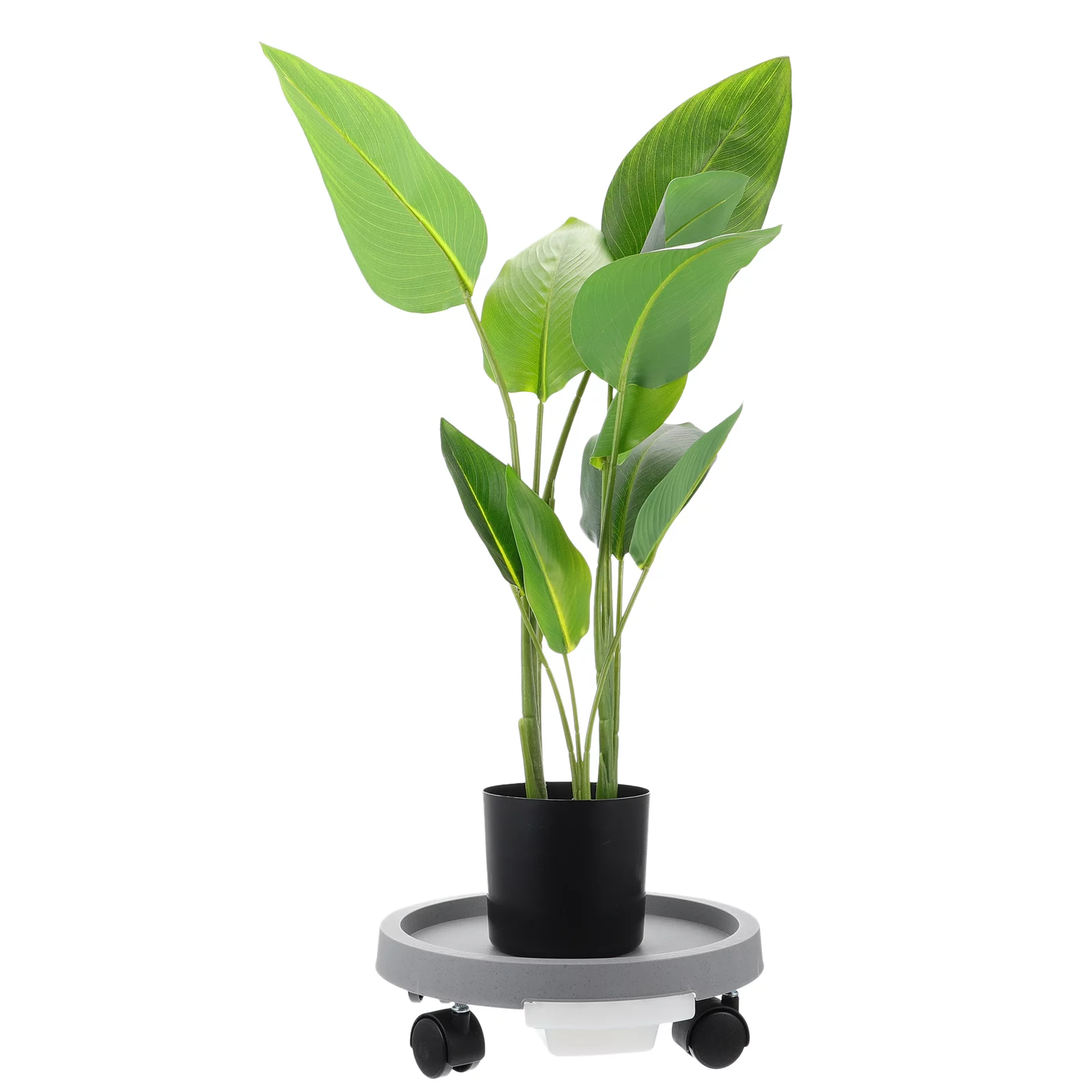 Guichaokj 1PC Plastic Universal Wheel Bonsai Tray Movable Plant Pot Tray with Brake Wheel