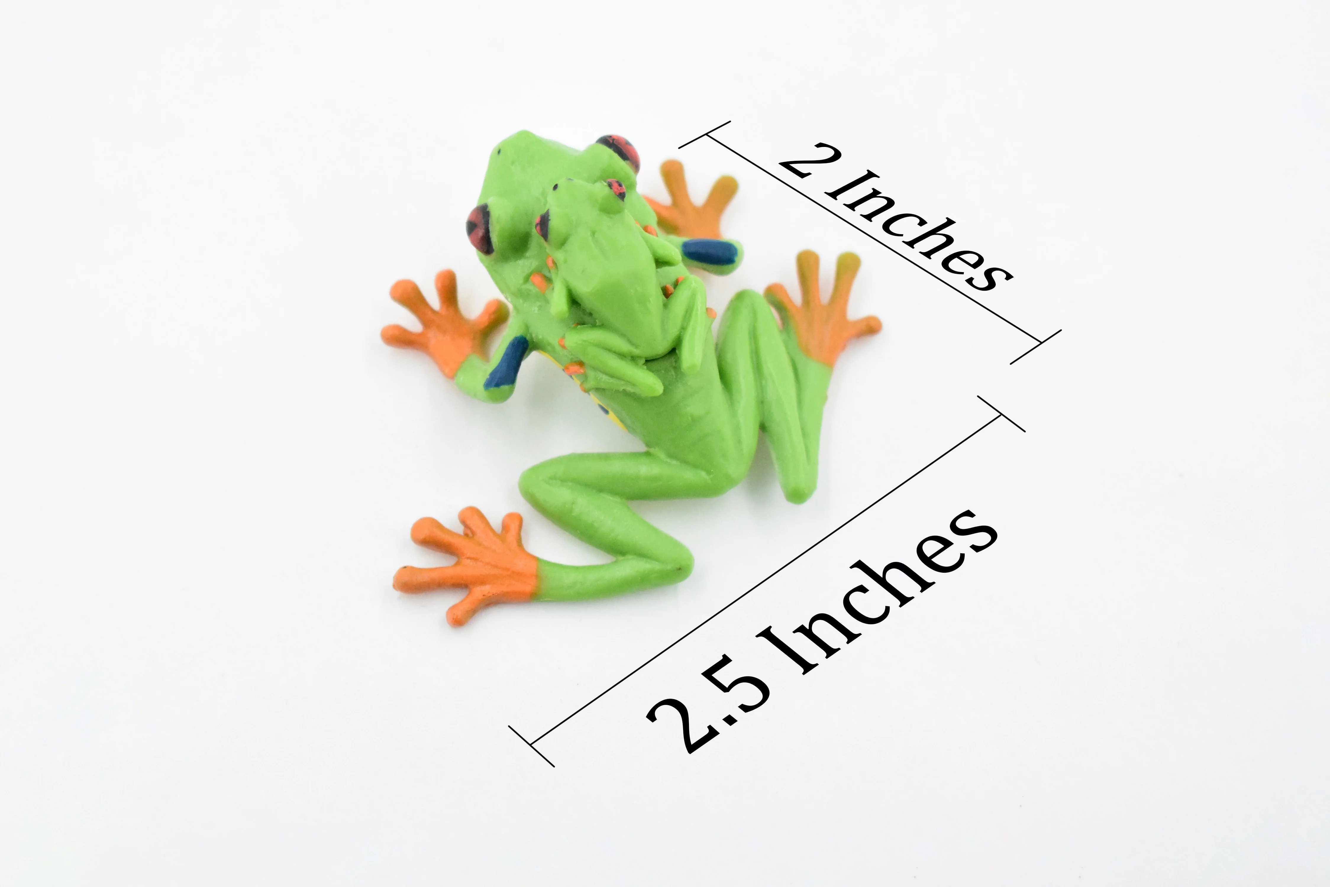 Frog, Red-Eyed Tree Frog with Baby, Museum Quality, Rubber Toy Amphibian, Realistic Figure, Model, Replica, Kids, Educational, Gift, 2