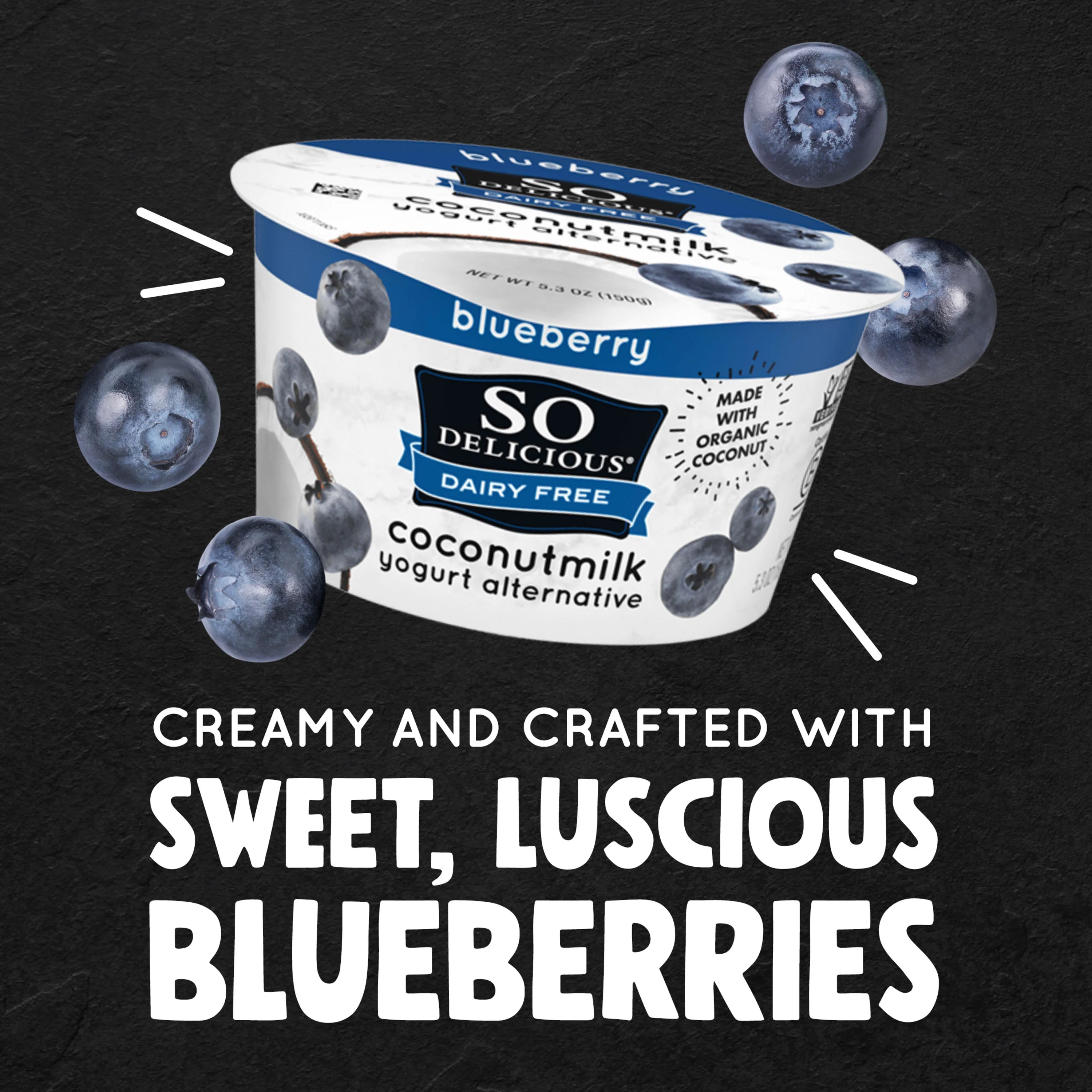 So Delicious Vegan, Non Dairy Blueberry Coconut Milk Yogurt Alternative, 5.3 oz Container