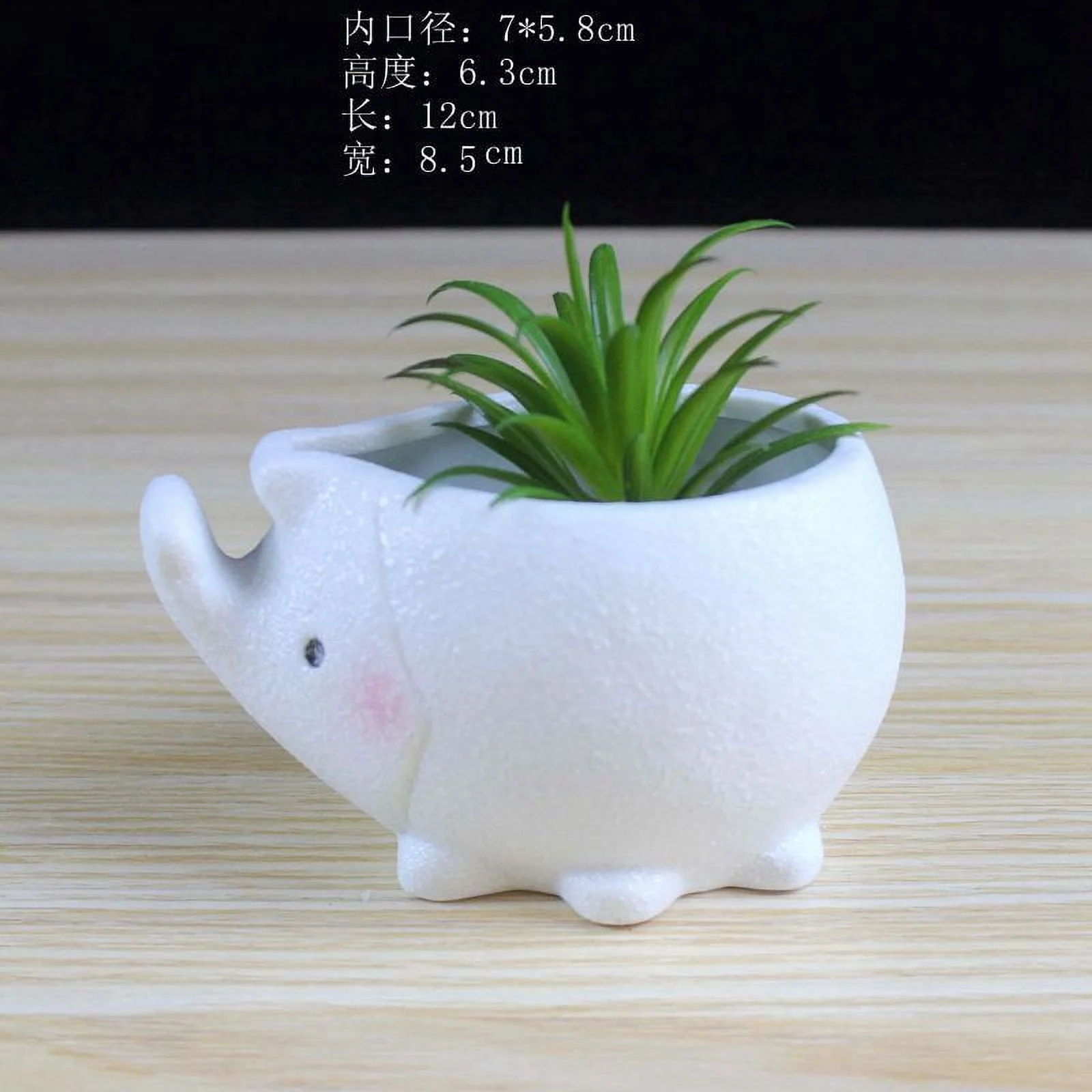 Snowflake Glazed Ceramic Succulent Planter - European Style Cartoon Minimalist Pot