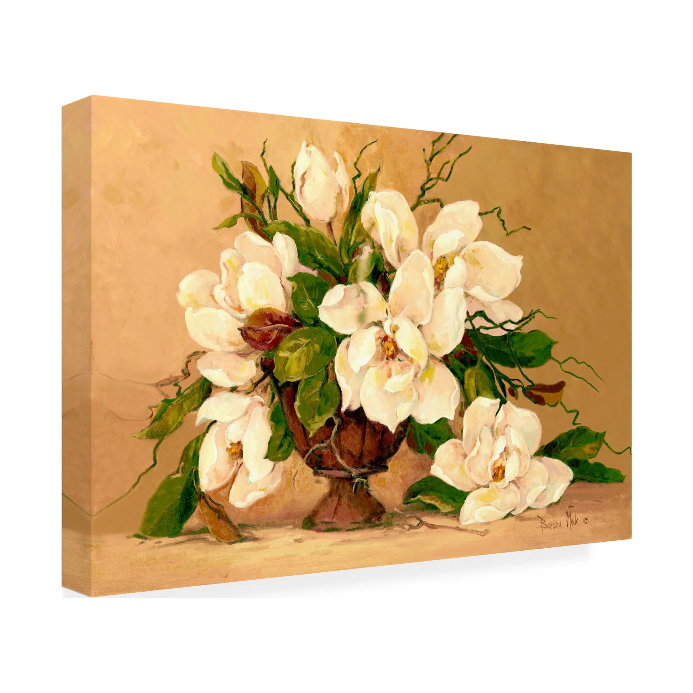 Barbara Mock 'Southern Magnolias' Canvas Art