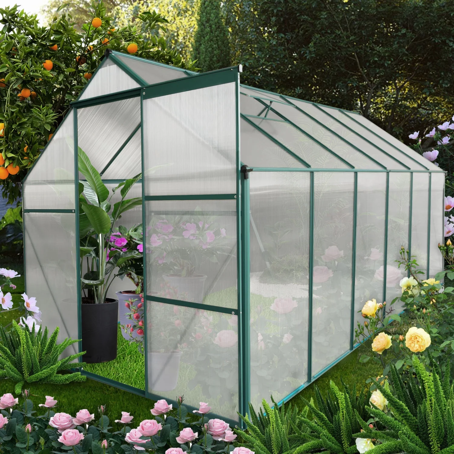 All Season Heavy Duty 6x12 FT Greenhouse with Aluminum Frame and Polycarbonate Panels - Raised Base  Anchor Walk-in Design for Outdoor Backyard Gardening Solutions