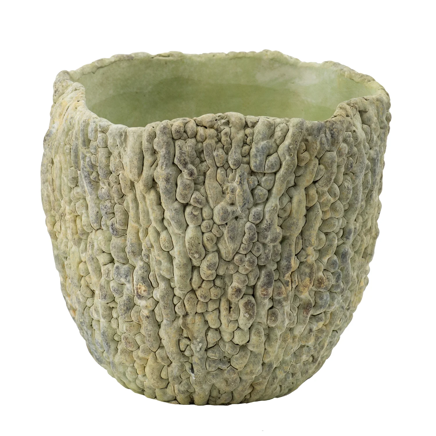 Bitter Gourd Outdoor Planter - 7