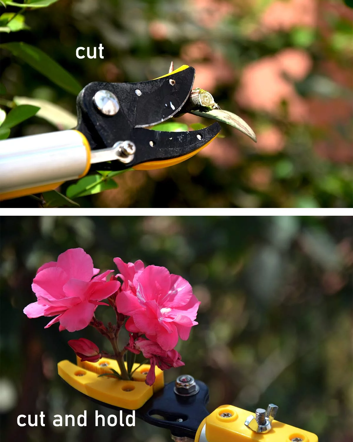 Hectare long reach Aluminum Telescopic long reach 10 feet Cut and hold pruner and fruit harvestor with Saw