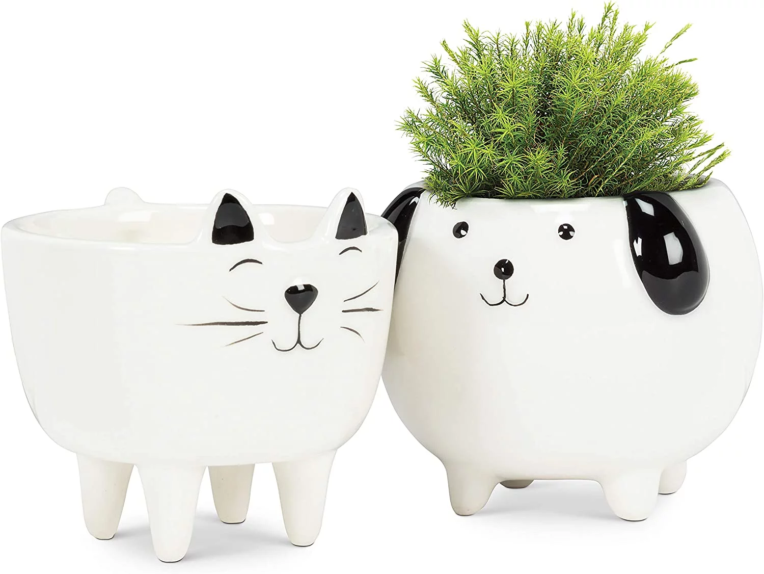 Abbott Collection AB-27-MINIKIN-370 3.5 in. Ceramic Cat Planter, White - Small