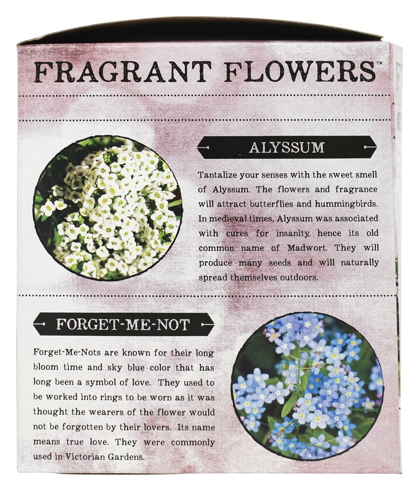 Double Bubble Glass Terrarium: Fragrant Flowers