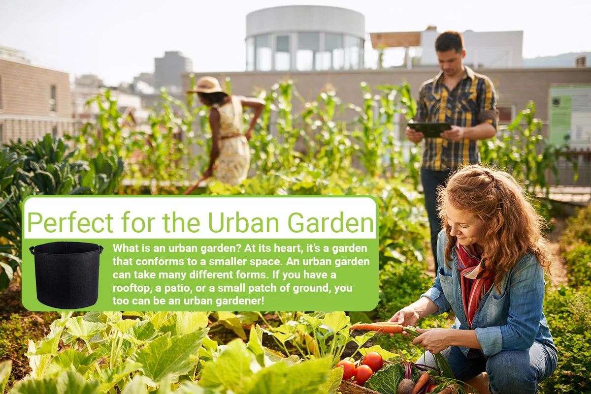 10 Gallon Heavy Duty and Reusable Fabric Grow Bags, Thickened Non-woven Fabric Plant Pots (5-Pack)