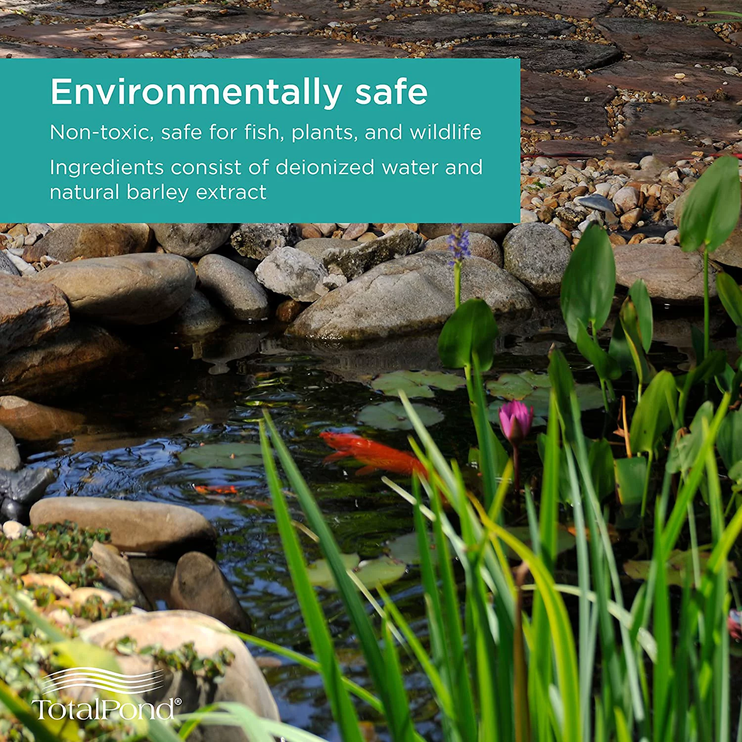 totalpond barley pond clarifier, 8-ounce