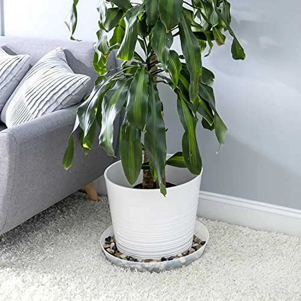 Case of 5 Saucers Natural Colored Polypropylene for Indoor and Outdoor Plant use, Made in USA, Flower Pot drip pan, Planter Drainage Saucer (16 inch)