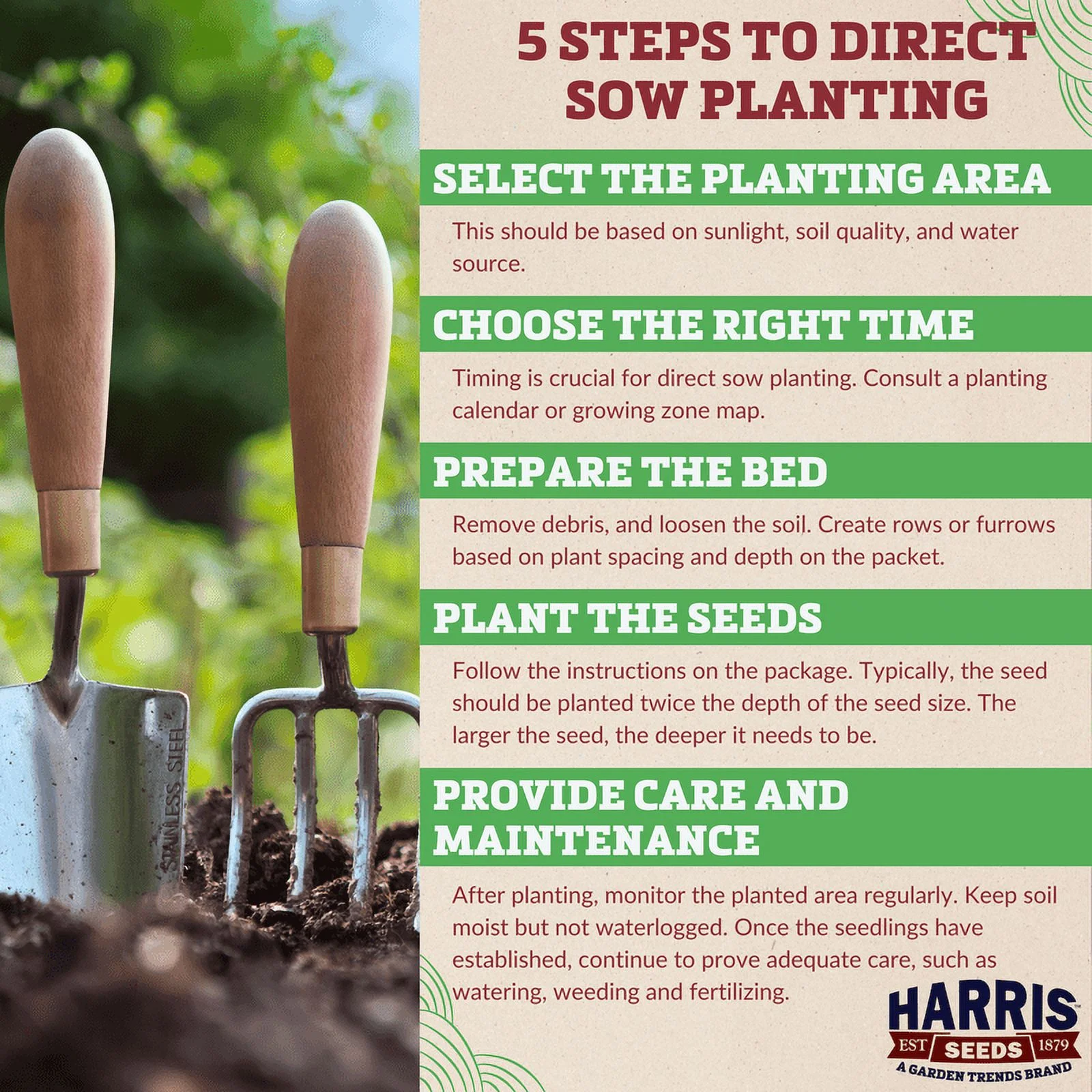 Harris Seeds - Autumn Frost Squash Seeds - Treated - Non-GMO - 25 Seeds