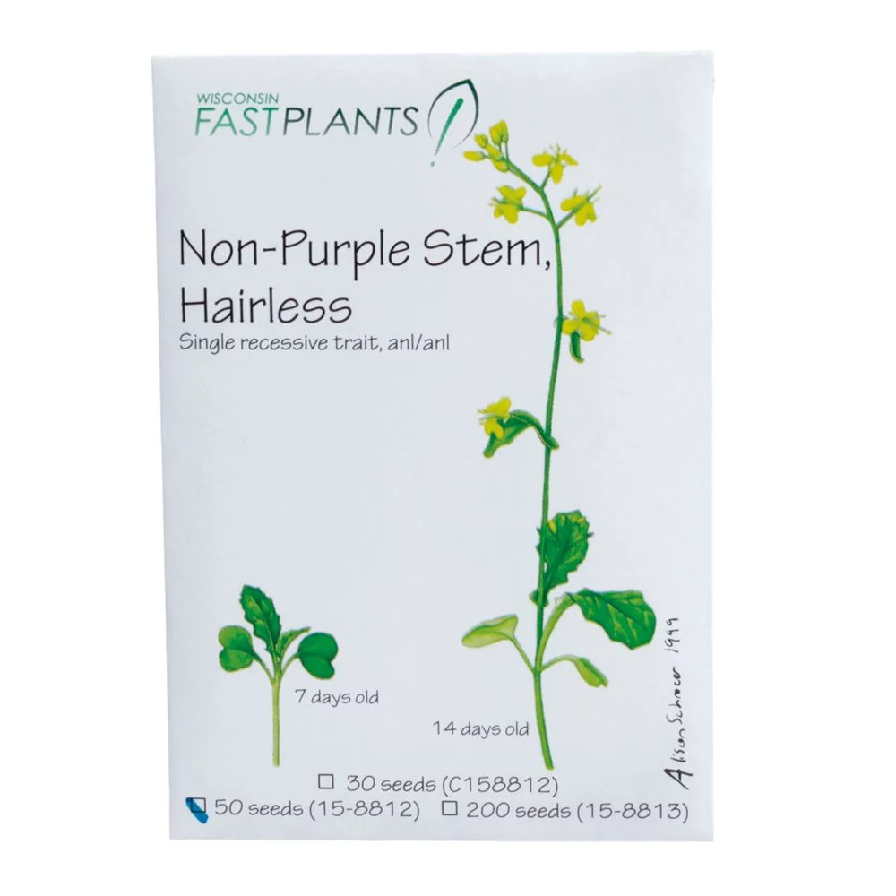Wisconsin Fast Plants Non-Purple Stem, Hairless Seed (Anthocyaninless, Hairless), Pack Of 200