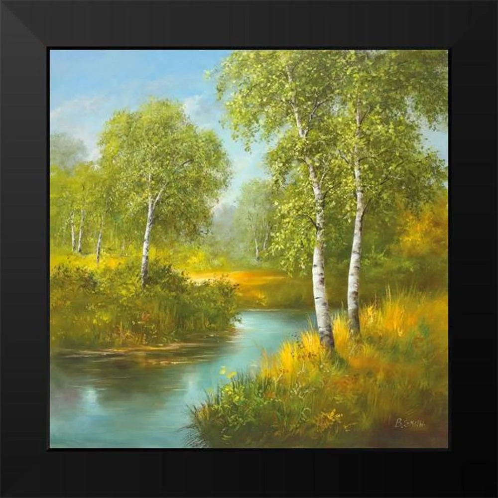 Smith, B. 12x12 Black Modern Framed Museum Art Print Titled - POND WITH BIRCHTREES