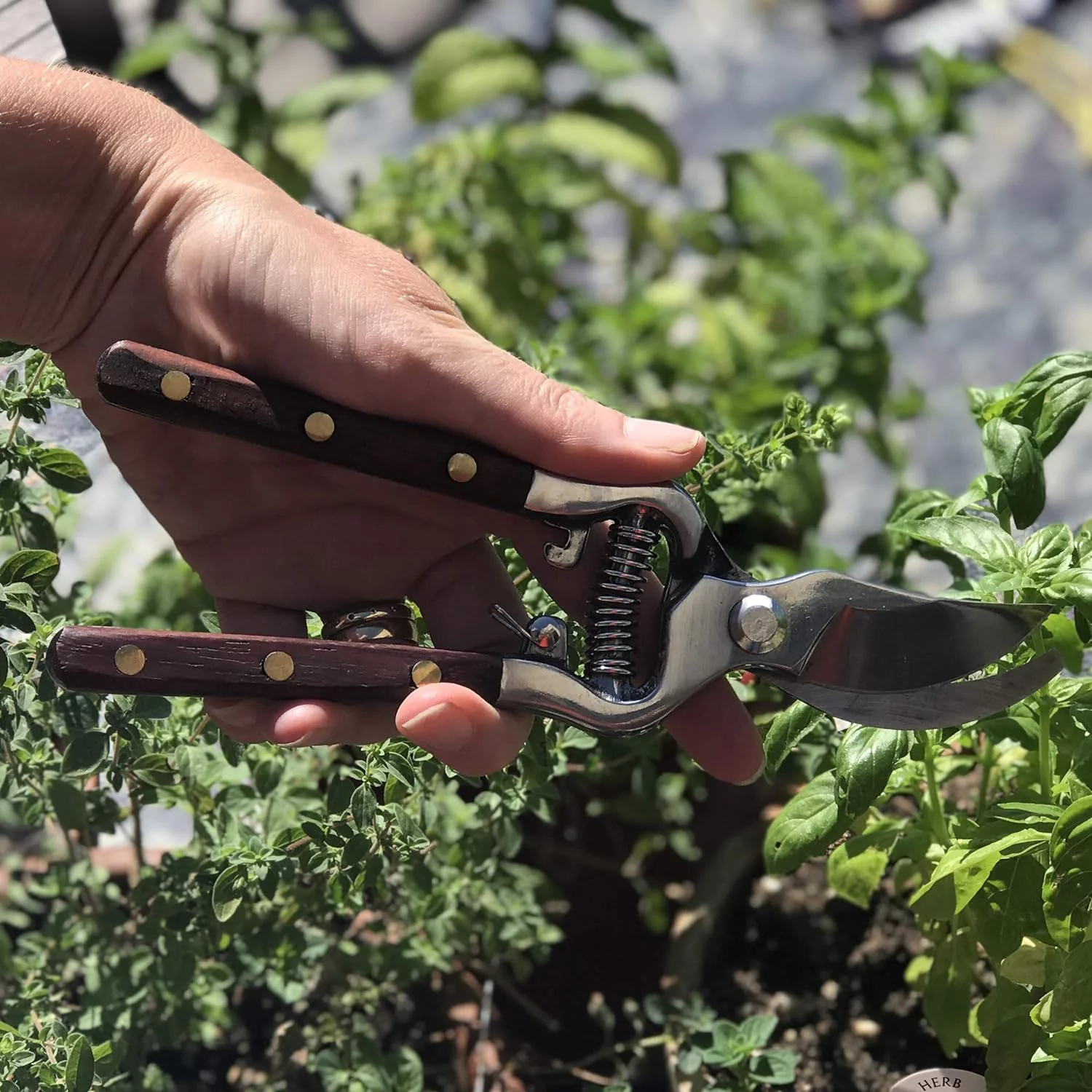 tradition meets modernity - thai kitchen u0026 garden shears