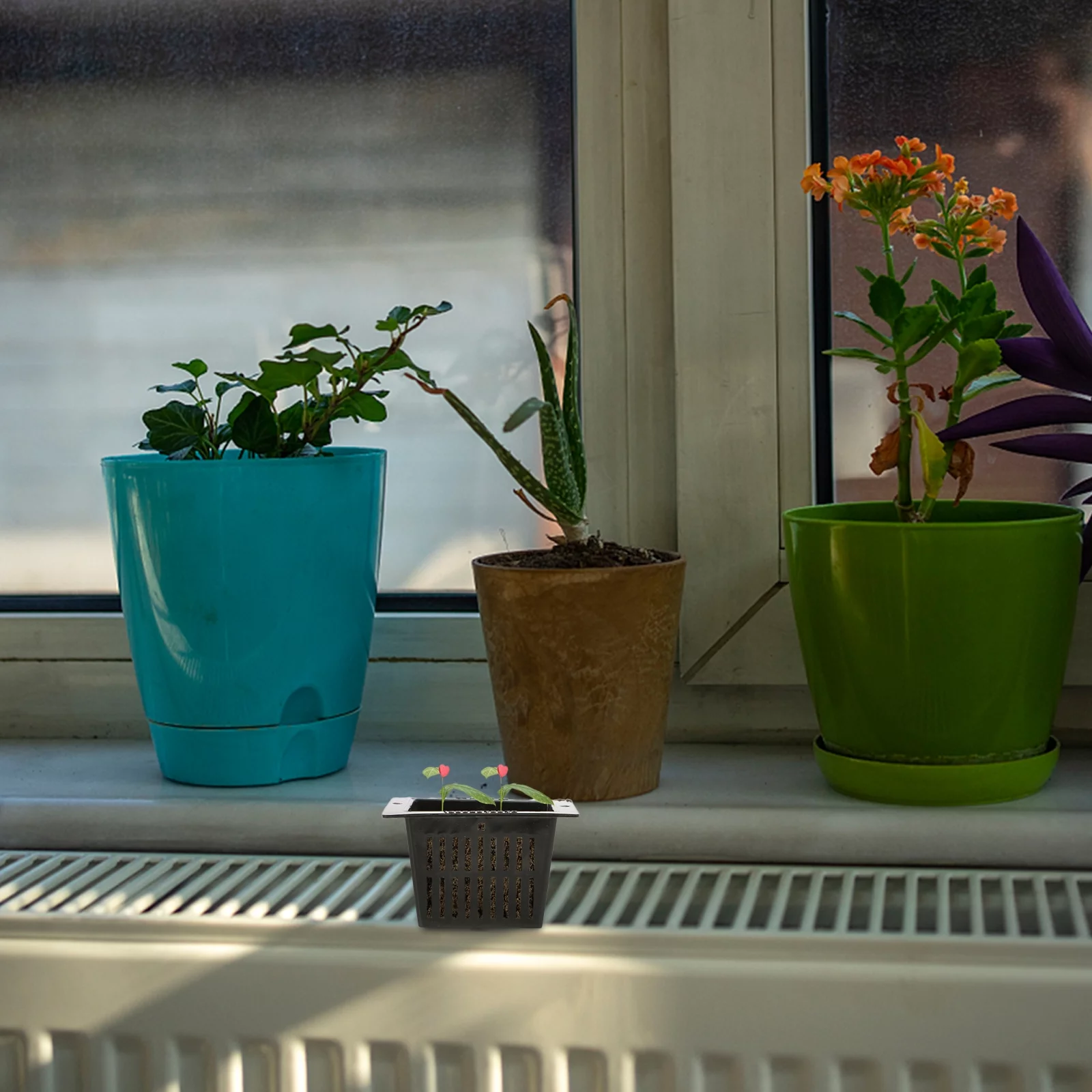 Etereauty Cups Cup Net Hydroponics Mesh Basket Garden Hydroponic Planting Pots Plastic Tower Plants Nursery Pot Plant Slotted