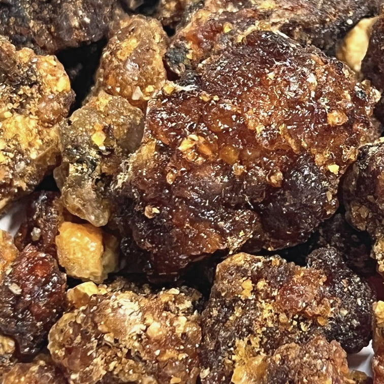 Saint Terra - Opoponax Gum Sweet Myrrh Incense Resin Tree Sap Gum from Somalia, 8 oz
