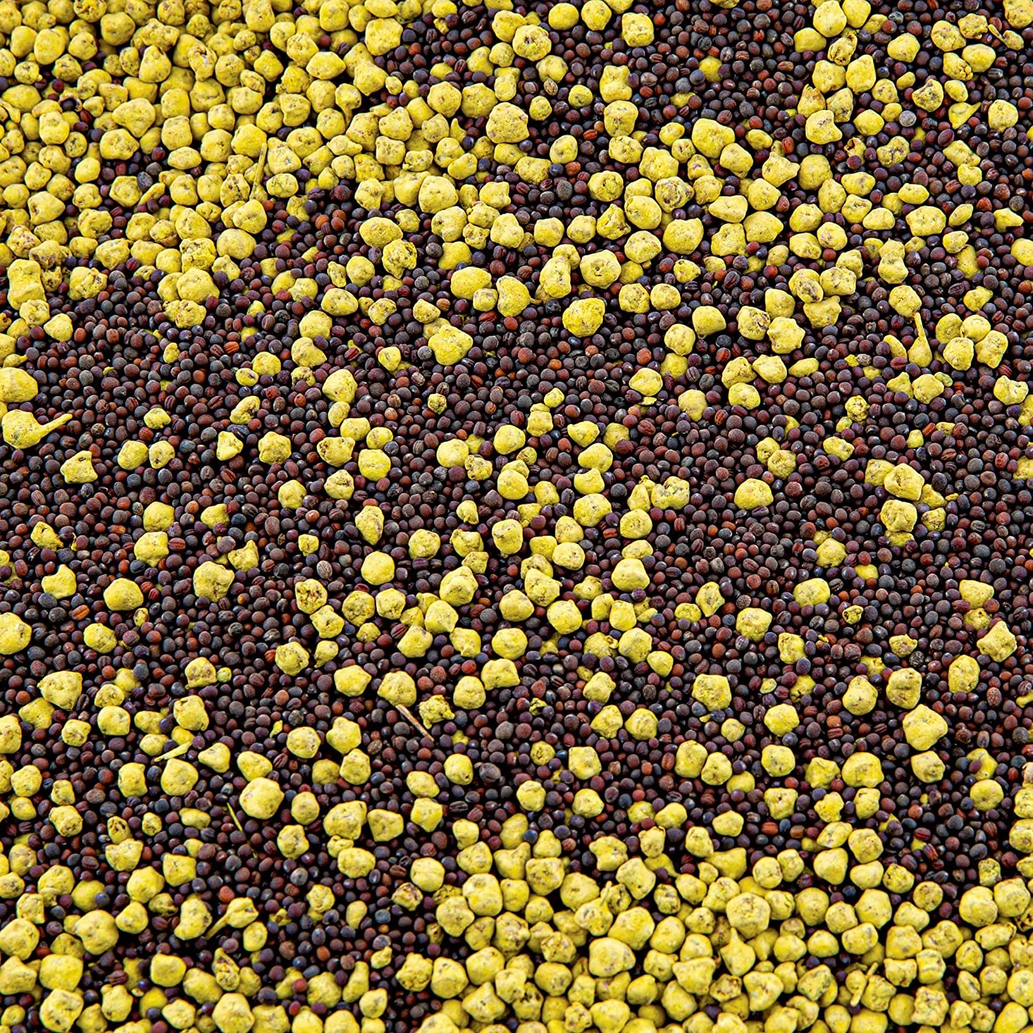 Evolved EVO73040 Sugar Beets And Bulbs 2Lb