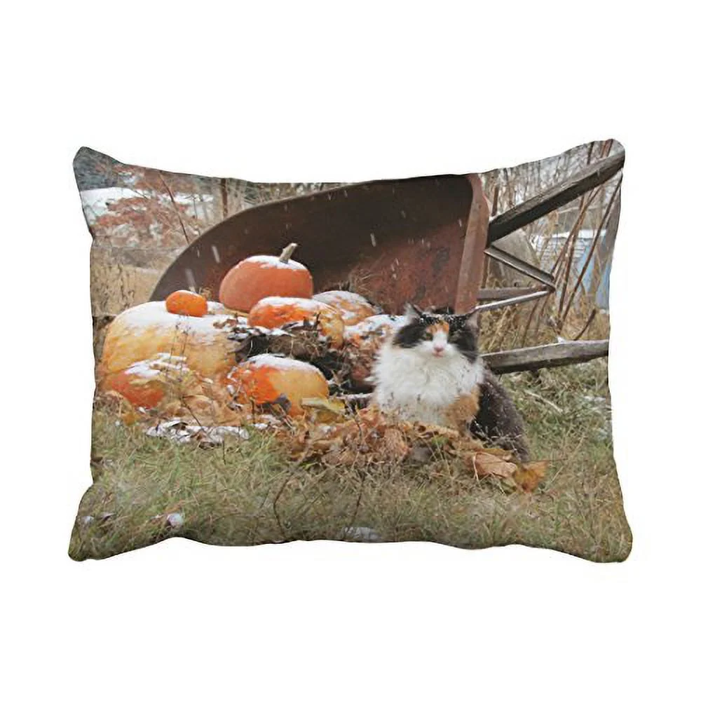 WinHome Decorative Pillowcases Calico Cat Wheelbarrow Of Pumpkins Throw Pillow Covers Cases Cushion Cover Case Sofa 20x30 Inches Two Side