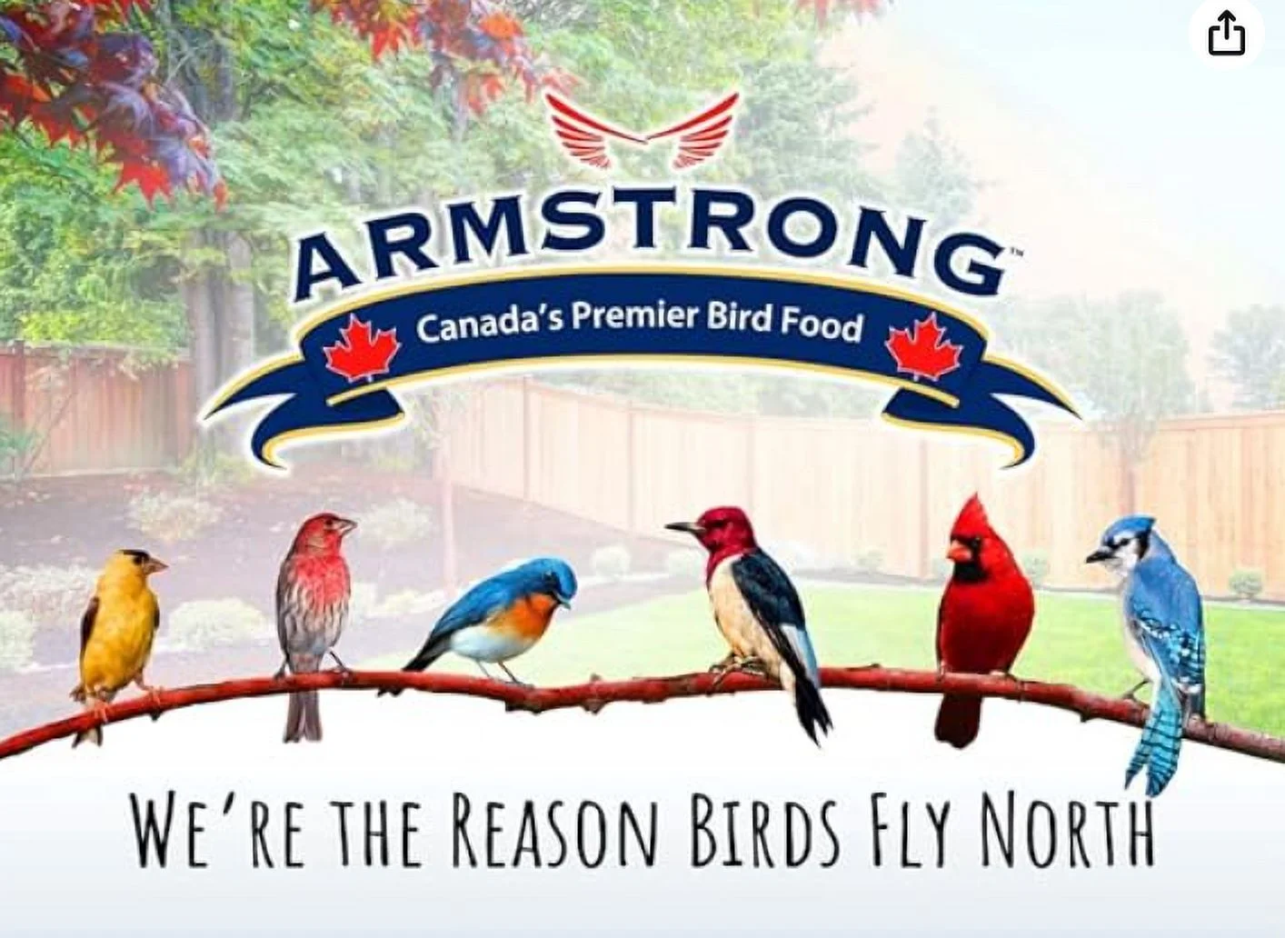 Armstrong Wild Bird Food All Season Bird Seed Blend, 50lbs