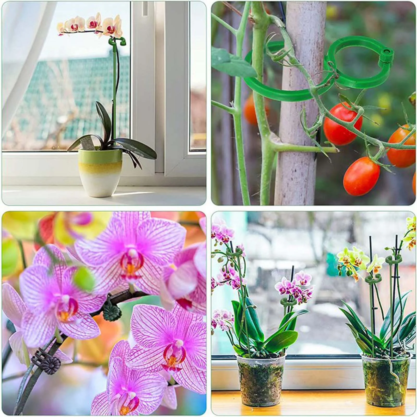 QNFEPKG Gardening 8 Figure Buckle Climbing Vine Tomato Binding Tape Tomato Clip Clip Vine Binding Clip