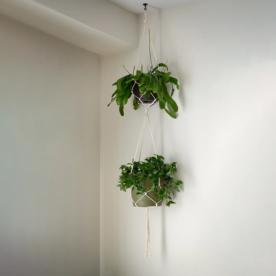 Uxcell Swag Metal Hook Kit Plant Hanging Ceiling Hook White Finish