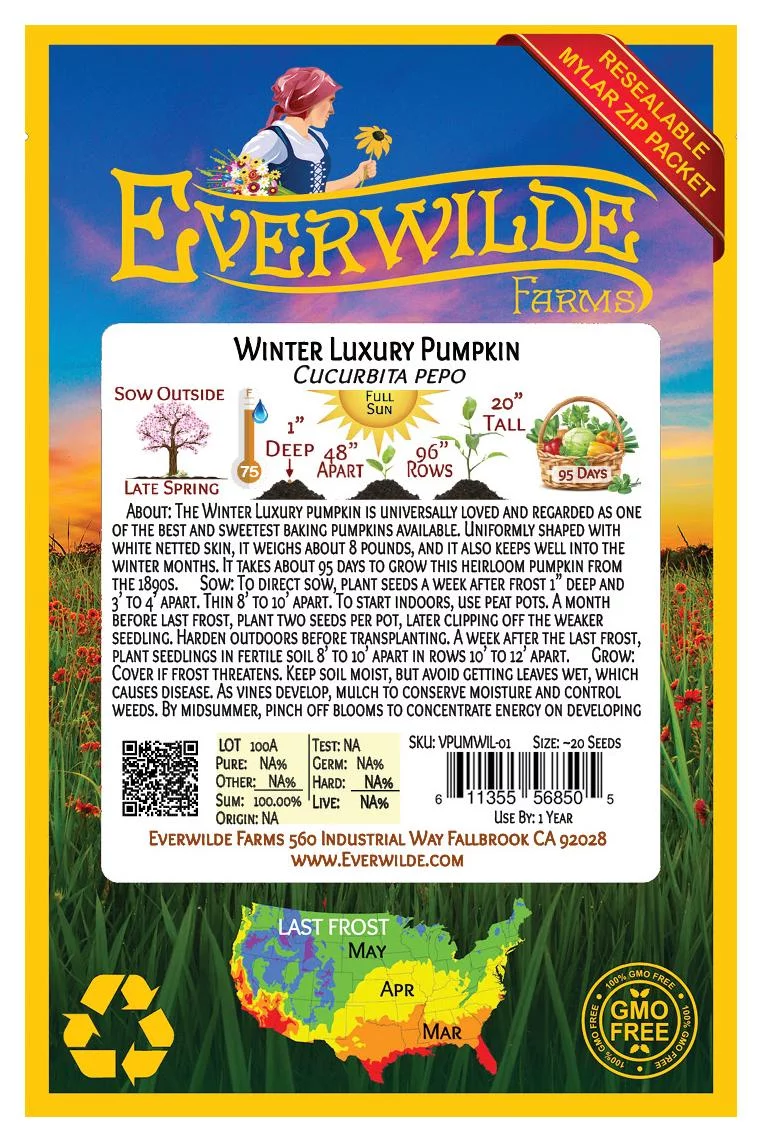 Everwilde Farms - 20 Winter Luxury Pumpkin Seeds - Gold Vault Jumbo Bulk Seed Packet