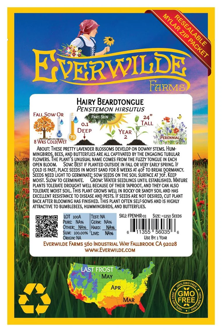 Everwilde Farms - 1250 Hairy Beardtongue Native Wildflower Seeds - Gold Vault Jumbo Bulk Seed Packet