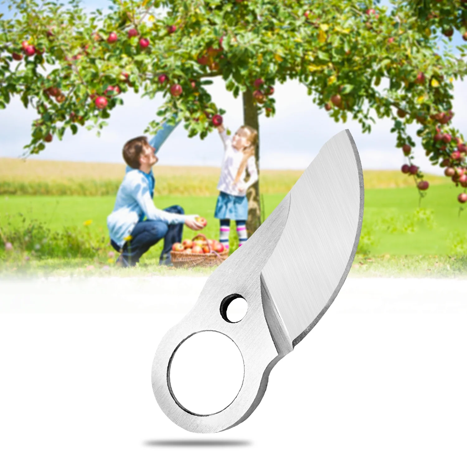 Lixada Electric Pruning Shear Accessory SK5 Cordless Pruner Cutting Blade 30mm Efficient for Fruit Tree Bonsai Branches Landscaping Tool Attachment