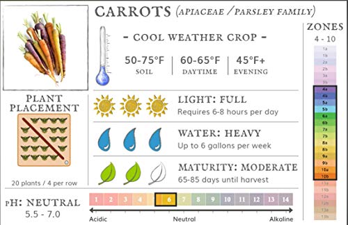 Scarlet Nantes Carrot NON GMO (1 Lb)